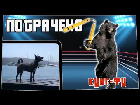 ПОТРАЧЕНО. Кунг-фу. Лучшие приколы 2020, смешные видео, фейлы
