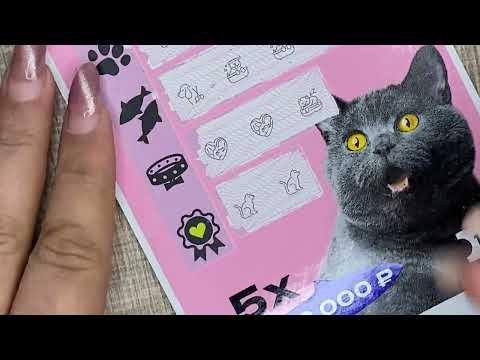 ДЖЕК-КОТ!!!
