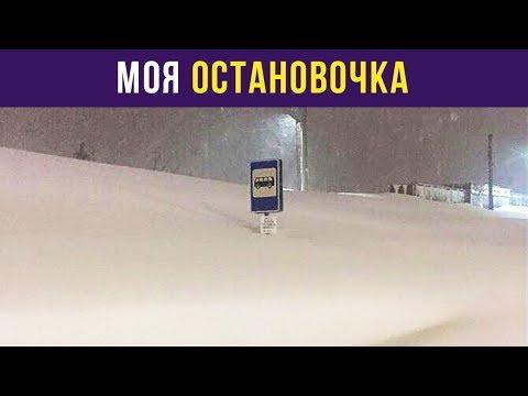 Приколы и мемы. Моя остановочка | Мемозг #43