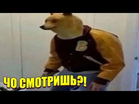 ЗАСМЕЯЛСЯ - ПОДПИСАЛСЯ!! ЛУЧШИЕ ПРИКОЛЫ 2021 ТЕСТ НА ПСИХИКУ УГАР! #39