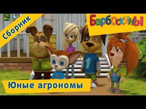 Барбоскины 
