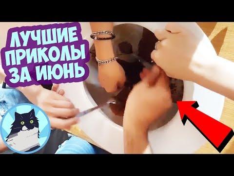 ЛУЧШИЕ ПРИКОЛЫ ЗА ВЕСЬ ИЮНЬ 