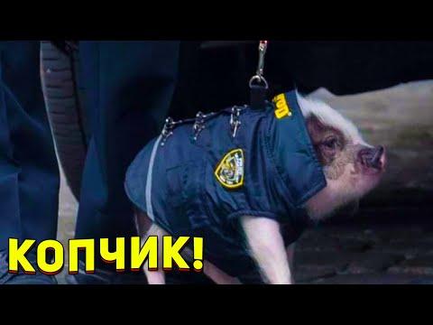 ЗАСМЕЯЛСЯ - ПОДПИСАЛСЯ!! ЛУЧШИЕ ПРИКОЛЫ 2021 ТЕСТ НА ПСИХИКУ УГАР! #414