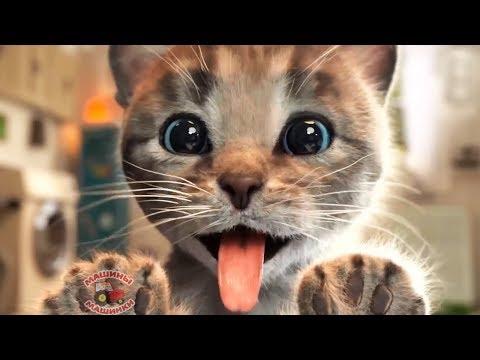 ПРИКЛЮЧЕНИЕ МАЛЕНЬКОГО КОТЕНКА мультфильм про котят для малышей Новый мультик для детей #ММ