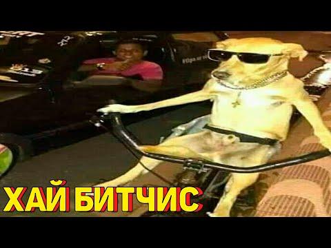 Я РЖАЛ ПОЛЧАСА 