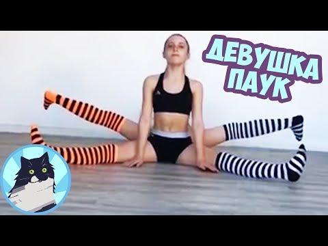 ДЕВУШКА ПАУК 