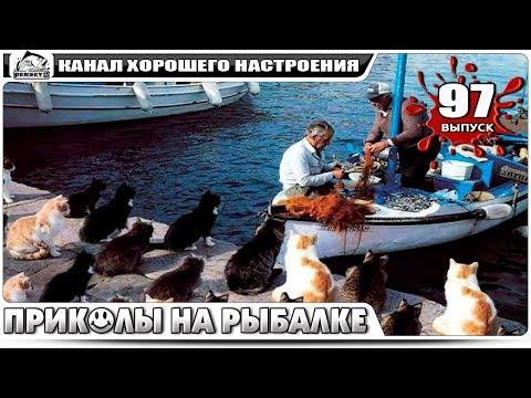 ПРИКОЛЫ НА РЫБАЛКЕ НОВИНКИ #97 Сентябрь Мега ржака до слез