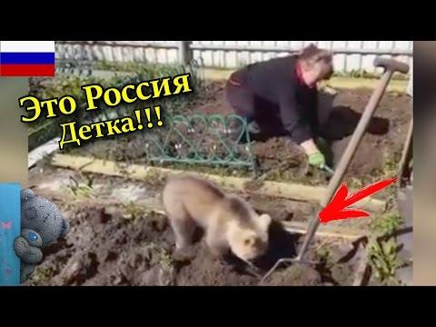 ЭТО РОССИЯ, ДЕТКА!!! ЛУЧШИЕ РУССКИЕ ПРИКОЛЫ || Помощник в огороде