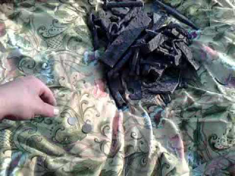 Снова в поле, знакомство с евро асей  07.09.2016