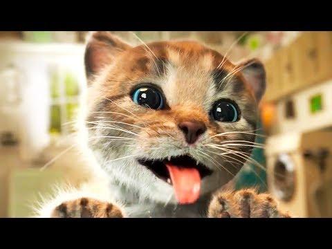 ПРИКЛЮЧЕНИЕ МАЛЕНЬКОГО КОТЕНКА СПАСЕНИЕ КОТЕНОЧКА мультик про кота или кошку питомец для детей #КИД