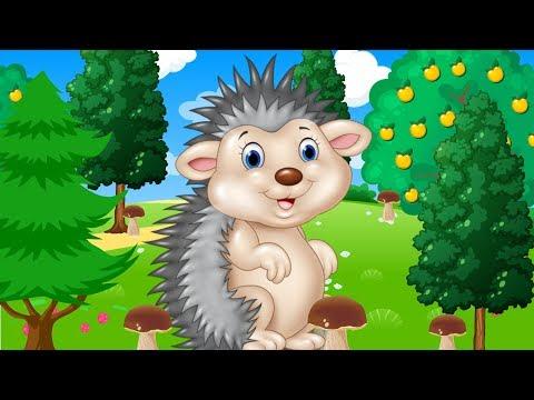 Весёлый Ёжик - Мультик детям