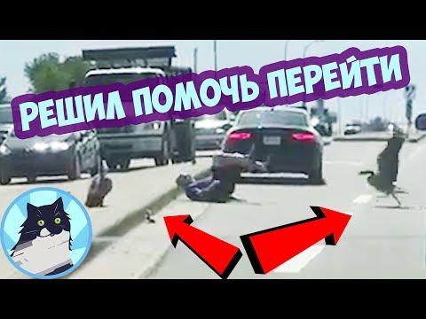 РЕШИЛ ПОМОЧЬ ПЕРЕЙТИ 