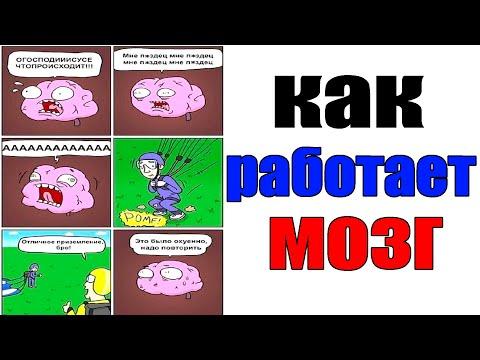 Старые добрые Лютые приколы. КАК РАБОТАЕТ МОЗГ.Угарные мемы
