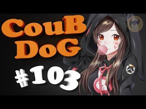 BEST COUB DOG #103 | лучшие приколы за Октябрь 2018 / mycoubs / аниме / mega coub / моменты / funny