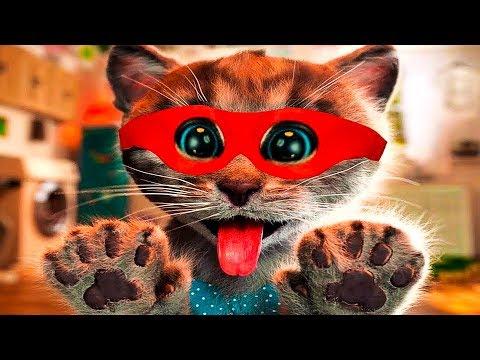 МОЙ МАЛЕНЬКИЙ КОТЕНОК Симулятор Кота мультик про котят мультик игра для детей мальчиков и девочек