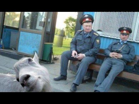 ЛУЧШИЕ ПРИКОЛЫ 2017 МАРТ | Лучшая Подборка Приколов # 502