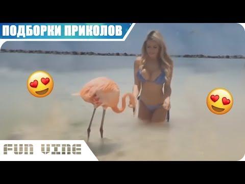 Приколы На Ютубе 2018 Ржачные Видео Приколы 2018 Лучшее #23