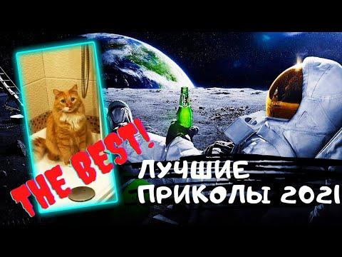 Лучшие приколы 2021  Смешные видео  Подборка приколов №5 Приколы с животными и людьми на Funny Video
