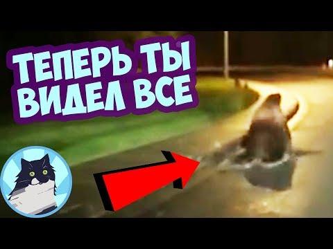 ТЕПЕРЬ ТЫ ВИДЕЛ ВСЁ 