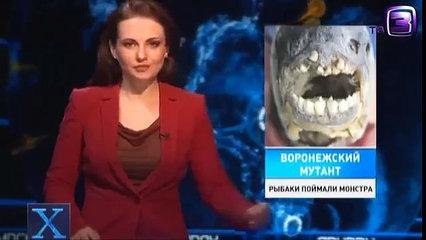 Рыбаки поймали монстра. Воронежский мутант.