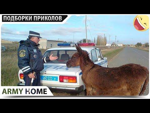 ПРИКОЛЫ 2021 Февраль #147 ржака до слез угар прикол - ПРИКОЛЮХА