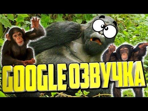 СМЕШНАЯ GOOGLE ОЗВУЧКА. 