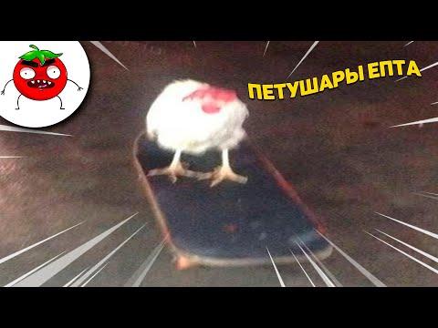 ЗАСМЕЯЛСЯ - ПОДПИСАЛСЯ!! ЛУЧШИЕ ПРИКОЛЫ I 446 СЕКУНД СМЕХА