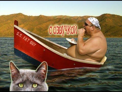 Приколы с котами – СМЕШНАЯ ОЗВУЧКА ПРИКОЛОВ– Слепой капитан - DOMI SHOW