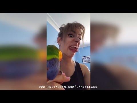 Новые приколы апреля. самые отборные приколы 2017