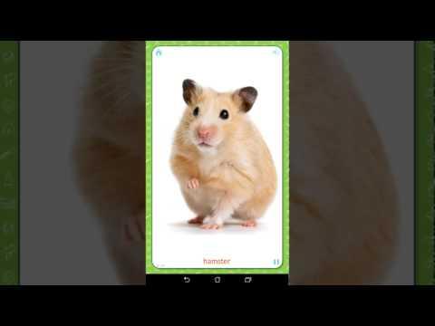 Мультик игра Учим животных Познавательный мультик