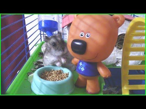 Кеша кормит Хомячка - Мультик с Ми-ми-мишками
