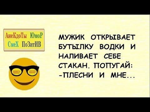 Анекдоты смешные! Короткие приколы! МУЖИК и ПОПУГАЙ    Юмор! Шутки! Смех! Позитив!