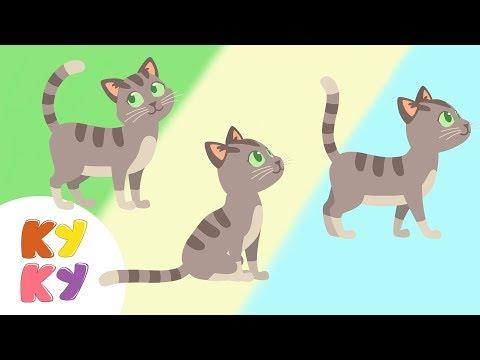 КУКУТИКИ - Киса Кошка - Музыкальный Мультик Песенка для детей про кошечку Funny Kids Song about Cat