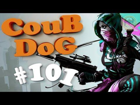 BEST COUB DOG #101 | лучшие приколы за Сентябрь 2018 / mycoubs / аниме / mega coub / моменты / funny