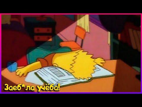 ПРИКОЛЫ 2021 ЛУЧШИЕ ЗА ФЕВРАЛЬ/ 726 СЕКУНД СМЕХА /ТЕСТ НА ПСИХИКУ/BEST COUB/ЧУДИКИ ИЗ СОЦСЕТЕЙ/РЖАКА