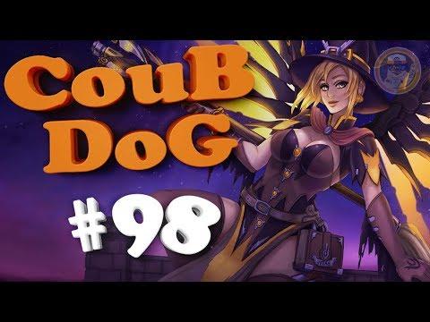 BEST COUB DOG #98 | лучшие приколы за Август 2018 / mycoubs / аниме / mega coub / моменты / funny