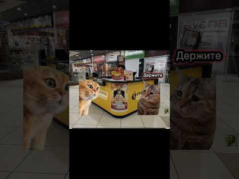 когда выиграл в латерею #мемы #пятёрочка #лейс #латерея #столото