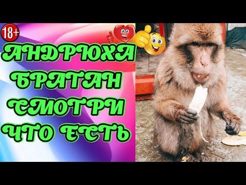ЛУЧШИЕ ПРИКОЛЫ ИЮЛЬ 2021 | 15 МИНУТ СМЕХА ДО СЛЁЗ | угар | tik tok video | тик ток  #174
