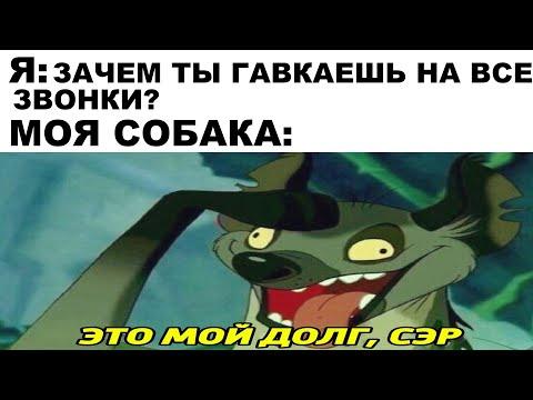 Лютые приколы | Дневная подборка мемов 35