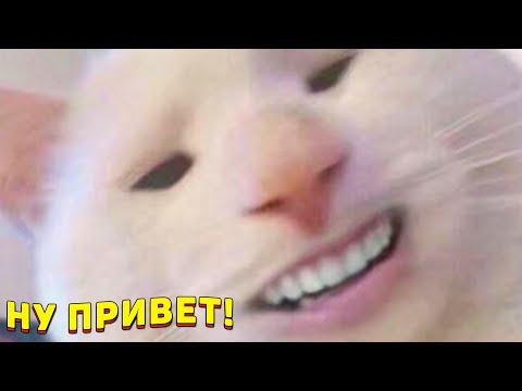 ЗАСМЕЯЛСЯ - ПОДПИСАЛСЯ!! ЛУЧШИЕ ПРИКОЛЫ 2021ТЕСТ НА ПСИХИКУ УГАР! #330