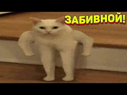 ЗАСМЕЯЛСЯ - ПОДПИСАЛСЯ!! ЛУЧШИЕ ПРИКОЛЫ 2020 ТЕСТ НА ПСИХИКУ УГАР! #306