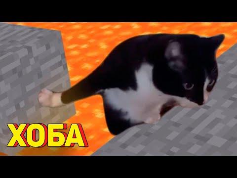 Я РЖАЛ ПОЛЧАСА 