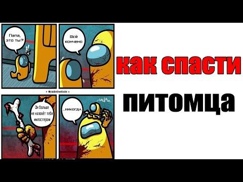 Лютые Приколы. AMONG US - КАК СПАСТИ ПИТОМЦА (Угарные Мемы) ОЗВУЧКА БРАТА БЛИЗНЕЦА