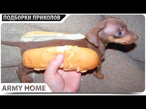 ПРИКОЛЫ 2017 Апрель #130 ржака до слез угар прикол - ПРИКОЛЮХА