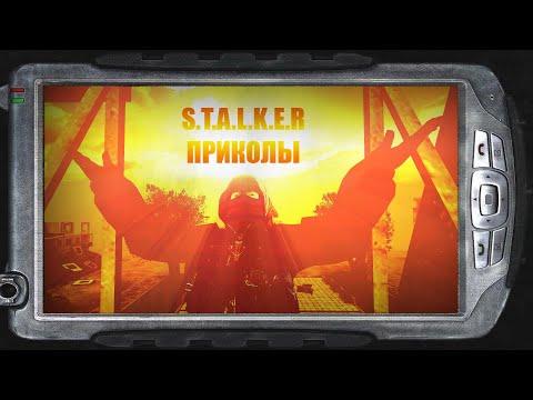 S.T.A.L.K.E.R:МИНИ/ПРИКОЛЫ №13