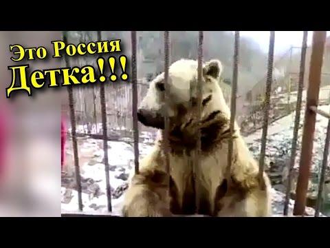 Это Россия, Детка!!! Самые СМЕШНЫЕ РУССКИЕ ПРИКОЛЫ, Топ Баянов 2016 || Выпуск 108