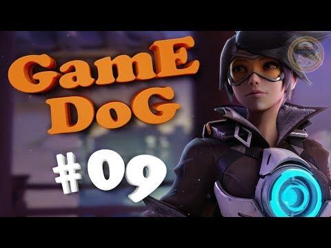 BEST GAME DOG #09 | Игровые БАЯНЫ / Подборка "Баги, Приколы, Фейлы" из игр / Gaming Coub