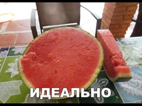 Приколы, Юмор, Смех(часть 3)