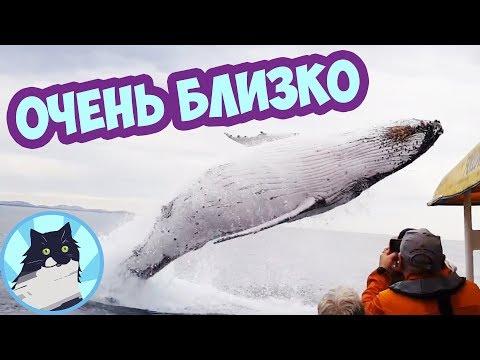ОЧЕНЬ БЛИЗКО 