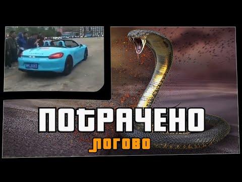 ПОТРАЧЕНО. Логово. Лучшие приколы 2020, смешные видео, фейлы
